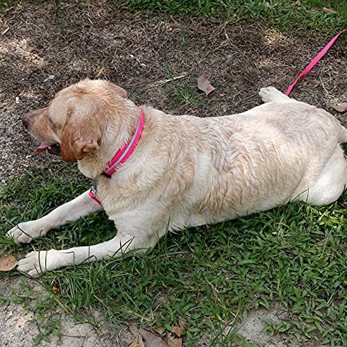 Nimble Reflective Waterproof Dog Collar Adjustable Odor Resistant Easy Clean Pet Collar for Small Medium Large Dogs Night Walking Outdoor Rainy Use (Large (15.35”-24.8”inches), Pink)