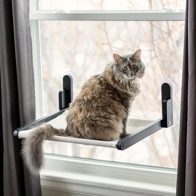 LULI and CAT CAT Window Perch, White