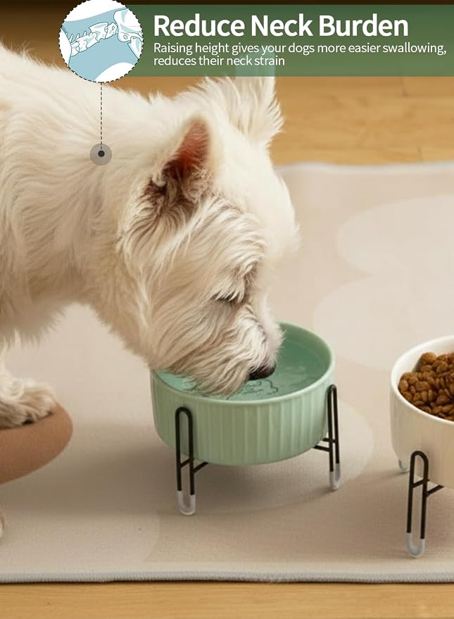 32 OZ Ceramic Dog Bowls with Metal Stand, 6.5 Inch Pet Food Water Bowl Set | Raised Pet Food Water Dish, 2 Heights, for Cats & Dogs, Prevent Neck Fatigue, White & Green