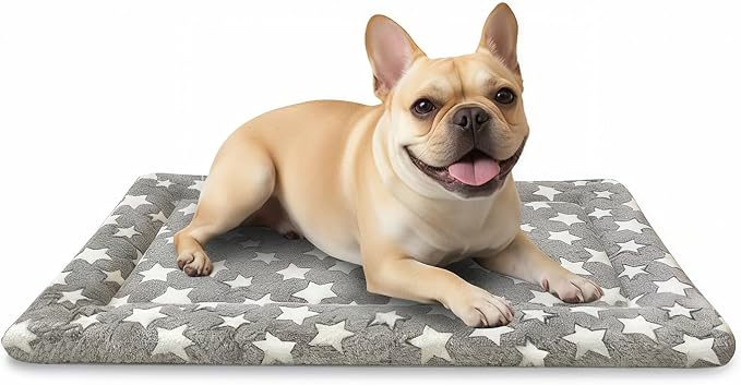 Dog Bed Mat, Dual-Sided Dog Crate Bed Mat - Ultra Soft & Machine Washable Kennel Pad for Small Dogs, All-Season Comfort Pet Bed for Crates, Travel, and Home, Star Gray, 24 x 16 Inch