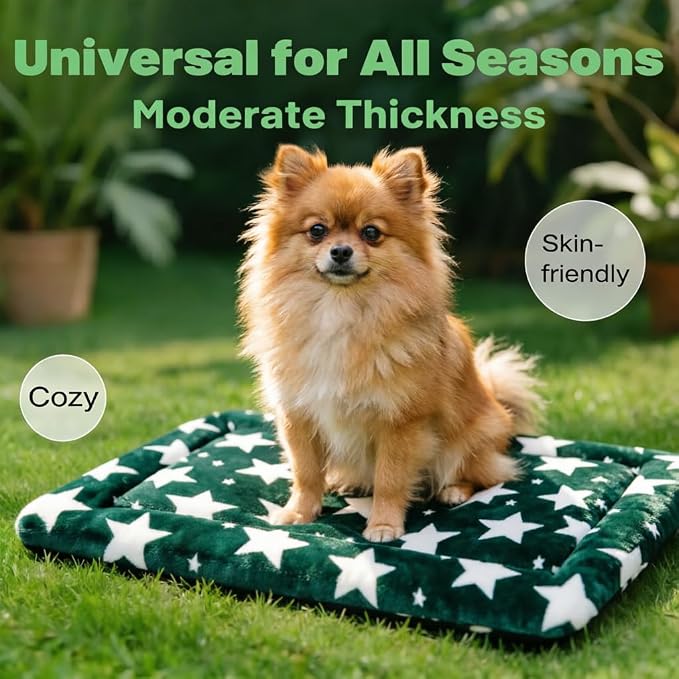 Dog Bed Mat, Reversible Crate Pad & Cute Dog Bed - Machine Washable Kennel Mat with Ultra Soft (Big&Small Stars Green, 18" L x 14" W x 1.5" Th)