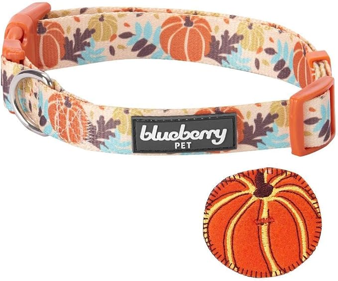 Blueberry Pet Fall Dog Collar, Small Dog Collar for Female & Male Dogs, Extra Small Dog Collar with Pumpkin Décor, Adjustable for Neck 12"-16", Eco-Friendly, Nickel-Free Hardware