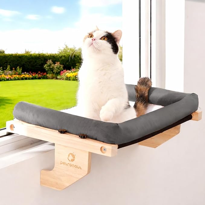 Cat Window Perch + Bonus Toy by Petronaut – Solid Wood, Durable & Easy-Clean, Comfortable Orthopedic Hammock, No Drilling, No Suction Cups, Holds 40 lbs – Window Seat for Large Cats, 21.7"x15"