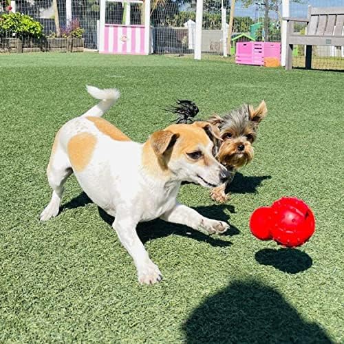 Nylabone Strong Chew Rubber Stuffable Cone Treat Toy, Bacon Flavor, Medium