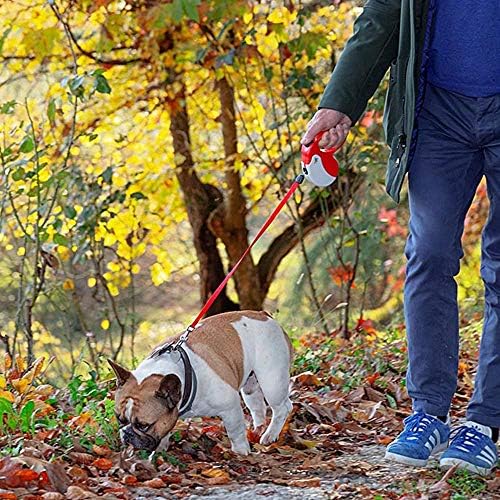 Ferplast Retractable Dog Lead Extendable Dog Leash Amigo Cord M, Retractable Cord, 5 m, max 25 kg, Light Blue