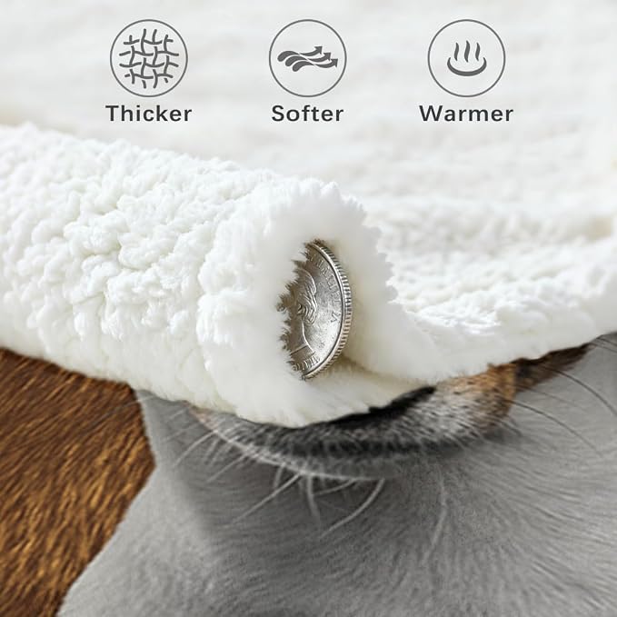 BlessLiving Basenji Throw Soft Blanket Sherpa Fleece Lined Blanket Pet and Dog Lovers Home Throw Blankets (Twin, 60 x 80 Inches)