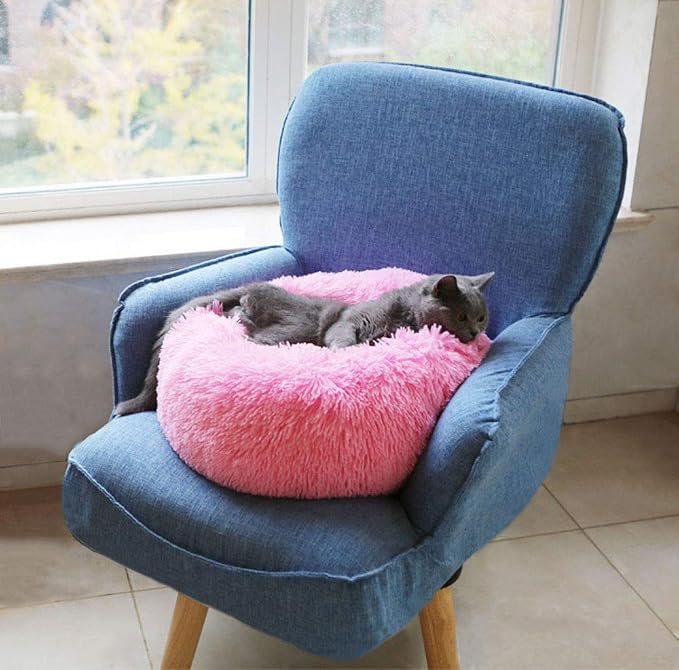 Modern Soft Plush Round Pet Bed for Cats or Small Dogs, Mini Medium Sized Dog Cat Bed Self Warming Autumn Winter Indoor Snooze Sleeping Cozy Kitty Teddy Kennel (20'' D x 8'' H, Hot Pink)
