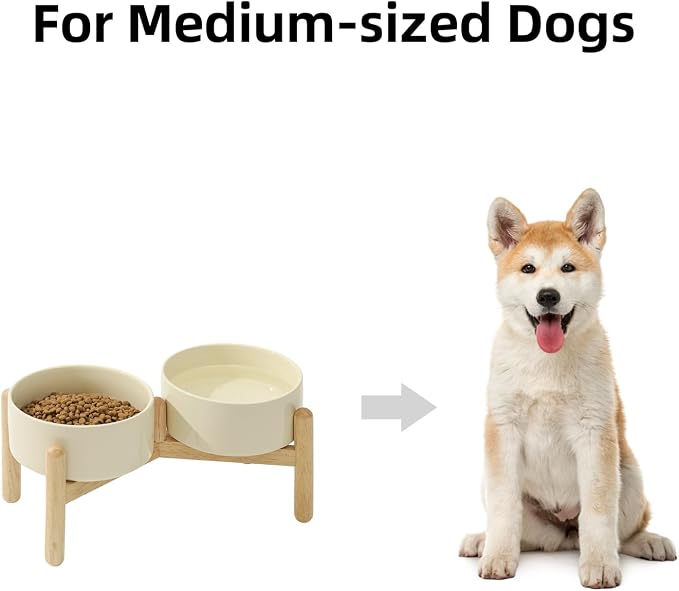 Havniva 6.1inch Ceramic Raised Dog Bowl with Stand, Double Dog Bowls Elevated for Small and Medium Breed Dog Food and Water Bowl Set Non-Slip Dog Dish Large Capacity Feeding Pet Water Bowl