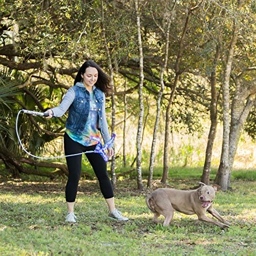 Squishy Face Studio Flirt Pole V2 with Lure - Durable Dog Toy for Fun Obedience Training & Exercise, Rainbow Tie Dye, Jr. - 24 inch
