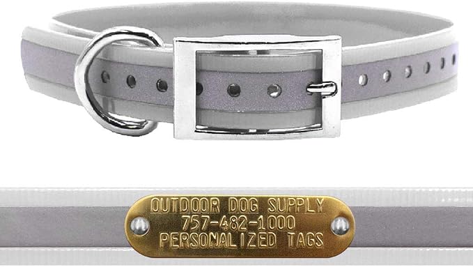 Outdoor Dog Supply 1" Heavy Duty Reflective Waterproof D-Ring Dog Collar for Medium & Large Dogs with 3/4" Custom Brass Nameplate (Reflective White, 18")