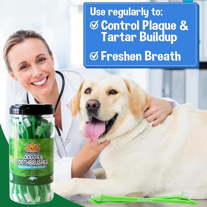 Bodhi Dog Dual-Headed Toothbrush for Dogs & Cats - Soft Bristles for Gentle Pet Dental Care - Puppy & Adult Teeth Cleaning - Easy-to-Use Design for Healthy Gums & Fresh Breath (50 Count)