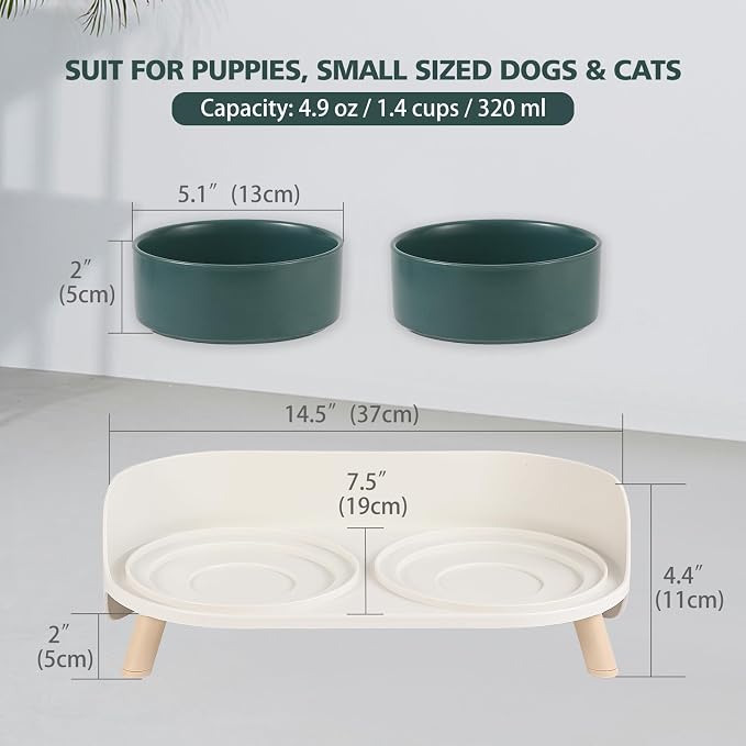 Raised Cat Food and Water Bowl Set - Elevated Ceramic Dishes with Non-Slip Stand and Splash Guard for Small Dogs - 2 x 320 ML (4.9 OZ) - Green