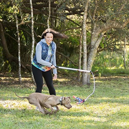 Squishy Face Studio Flirt Pole V2 with Lure - Durable Dog Toy for Fun Obedience Training & Exercise, Purple/Blue Tie Dye, Regular - 36 inch