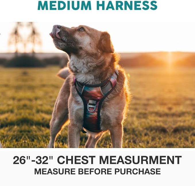 Embark Adventure No Pull Dog Harness, Reflective Trim No Pull Harness for Medium Sized Dog - Military Grade Nylon, Front Clip with Gel Lined Handle. Soft & Padded Puppy