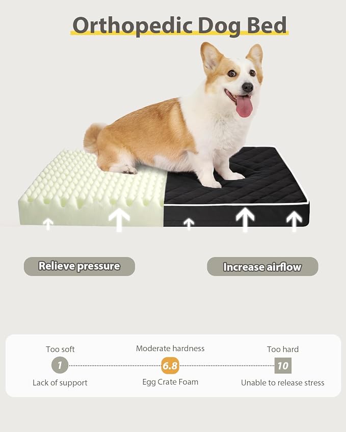 NUPIDA Orthopedic Dog Beds Large Sized Dog Waterproof Pet Kennel Pad with Removable Washable Cover and Non-Slip Bottom, 35x23 Inch, Black