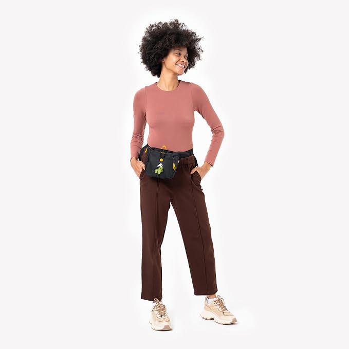 Backcountry Day Bag | Hands-Free Dog Training Treat Pouch | Fanny/Hip Pack with Zipper Closure & Built-in Poop Bag Dispenser | Removable Waist Clip (Raven S'25)
