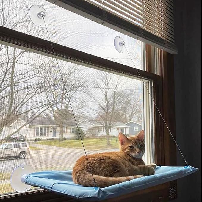 Blue Cat Hammock for Window, Cat Window Perch for Indoor Cats | Cat Window Bed Suction Cups Cat Window Hammock Space Saving Window Seat for Cats Inside