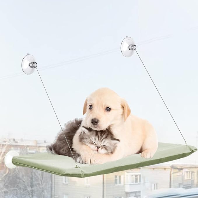 4 Pcs Thick Suction Cup Cat Window Perches Window Hammock Replacement Suction Cup for Cat Seat Perch Hammock Hanging Pet Supplies (Classic Style)