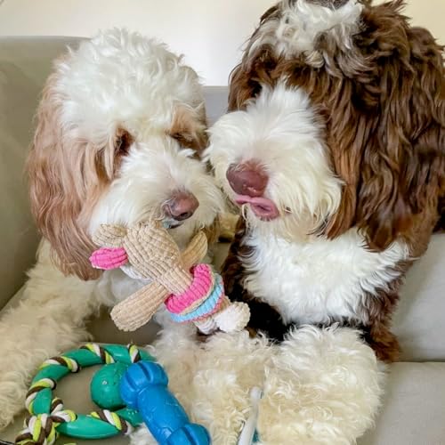 rocket & rex Puppy Chew Toys for Teething, Natural Rubber Set (6pk)