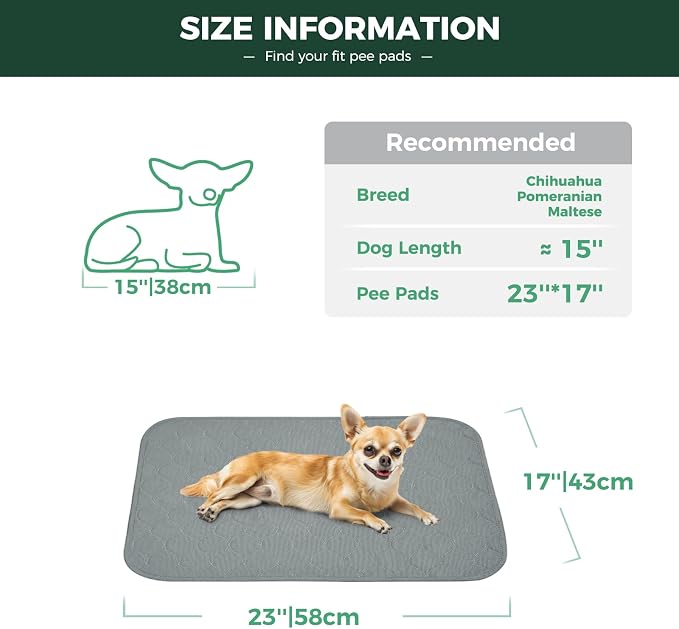 FXW Washable Pee Pads for Dogs, Super Absorbent, 17" x 23", 4 Packs | Machine washable, Non-slip backing