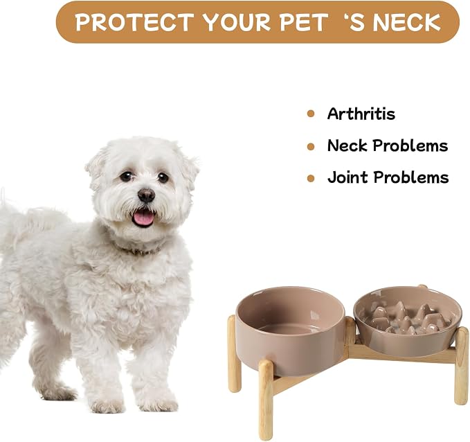 Havniva 6.1” Raised Slow Feeder Dog Bowls Set, 0.9 Cups Ceramic Slow Feeder Dog Bowl and 6.1” Dog Water Bowl with Elevated Wooden Stand Puzzle Dog Food Bowl for Small Dogs Anti-Gulping & Anti-Choking