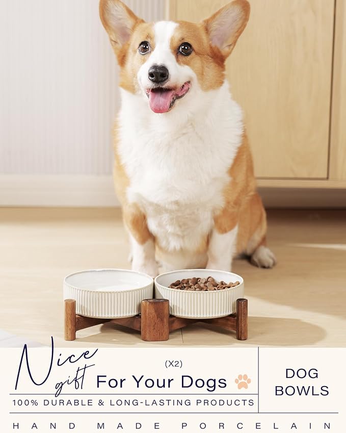 Getstar Elevated Ceramic Dog Cat Bowl Set - 1.8-Cup Raised Feeding Bowls with Non-Slip Wood Stand - Small Pet Dishes for Food and Water - Ideal for Cats and Puppies