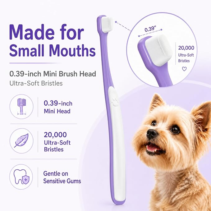 Small Dog Toothbrush Kit, 2.5oz Toothpaste & Finger Brush | Gentle Small Dog Care. Soft Brush Comfort. Finger-Fit Control. Coconut Chicken Flavor. Daily Routine.