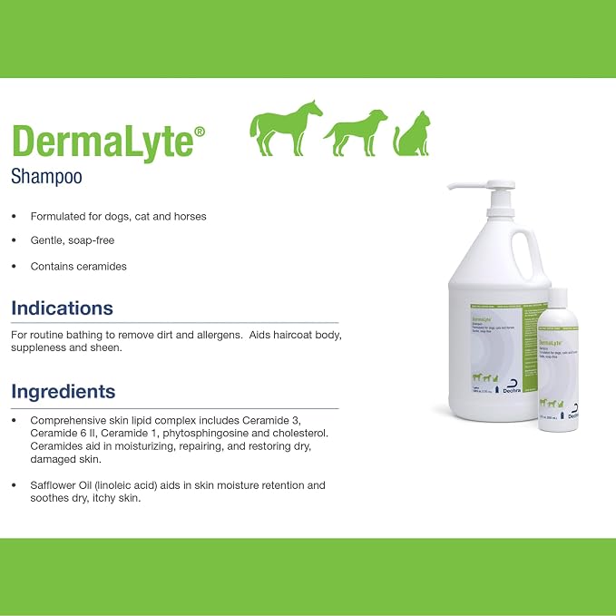 Shampoo, 12 Ounce (Pack of 2)