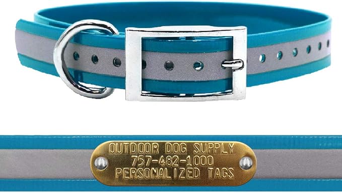 Outdoor Dog Supply 1" Heavy Duty Reflective Waterproof D-Ring Dog Collar for Medium & Large Dogs with 3/4" Custom Brass Nameplate (Reflective Teal, 18")