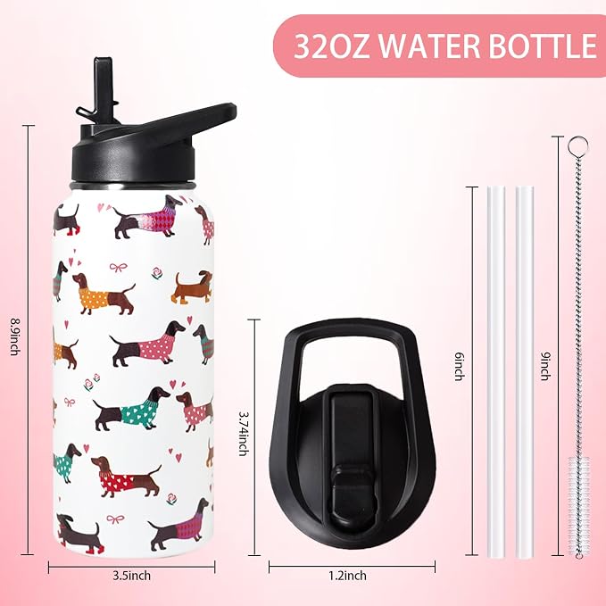 32oz Dachshund Insulated Stainless Steel Sports Water Bottle with Straw, Hiking, Cycling, Gym, Dog Gifts for Women