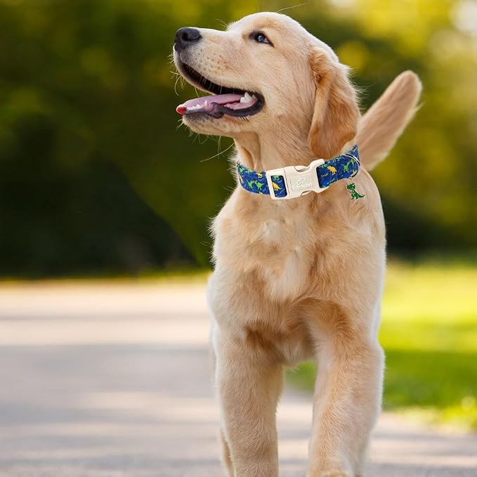 Dinosaur Dog Collar, Cute Boy Dog Collars for Medium Dogs - Blue Multicolor Dino Cotton Male Dogs Collar, Soft Adjustable Daily Pet Collars with Quick Release Buckle M
