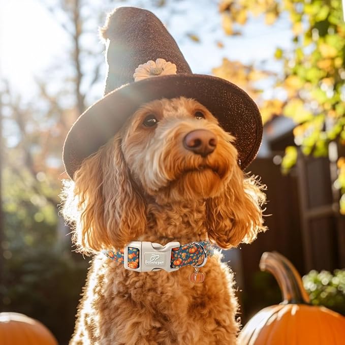 Fall Dog Collar Cute Autumn Pumpkin Puppy Collar - Light Comfortable Adjustable Pet Collars for Small Medium Large Girl Boy Dogs L