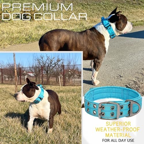 ADITYNA Heavy Duty Dog Collar for Extra-Large Dogs with Traffic Handle