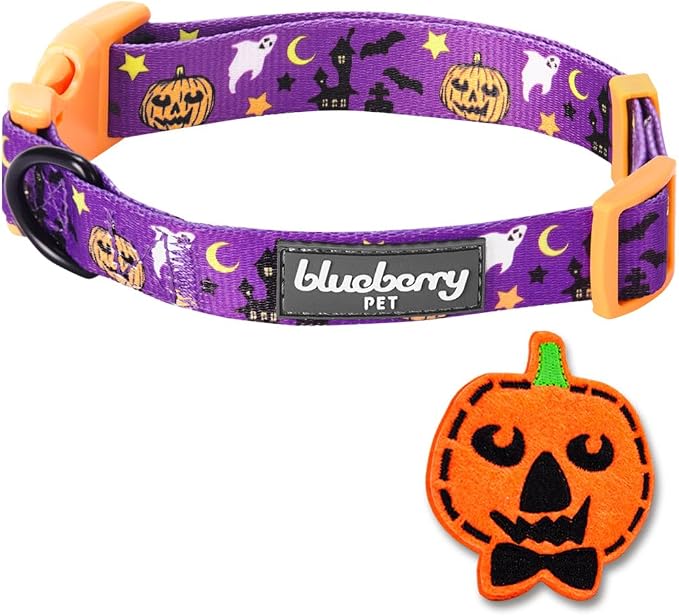 Blueberry Pet Halloween Darkness Deserted Castle Designer Adjustable Dog Collar with Decoration, Small, Neck 12"-16"