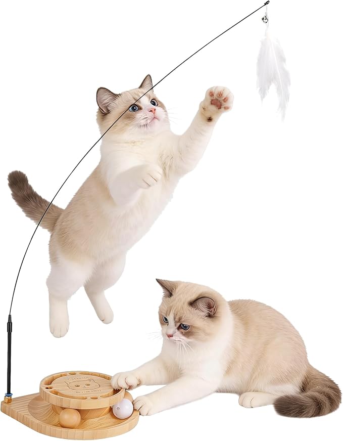 Cat Ball Track Toy, Interactive Cat Toy for Indoor Cats - Cat Wand & Track Ball, 15 Replacement Heads, Anti-Slip Base, Easy Assembly Cat Teaser for Kittens & Adult Cats