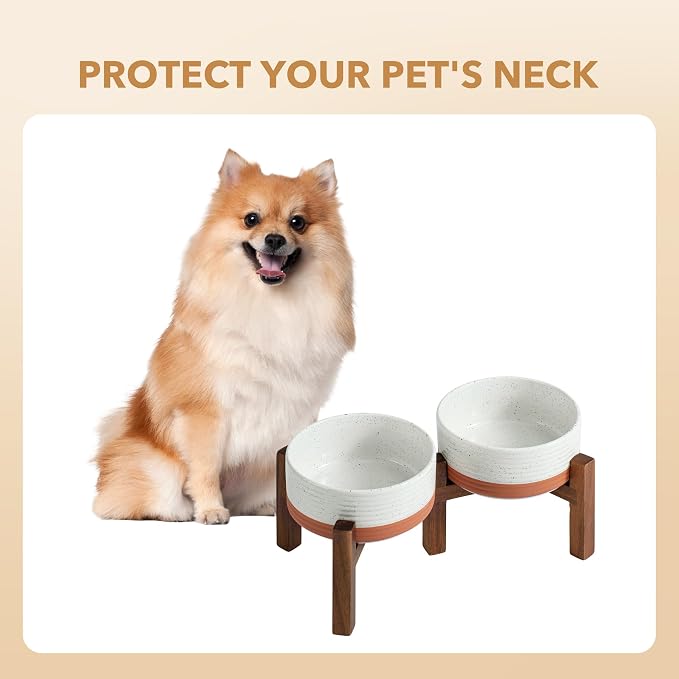 Havniva 6.1" Elevated Dog Bowls Ceramic Raised Dog Bowl with Non-Slip Stand (Acacia Wood) Two Height Options, Dog Food & Water Bowl for Small & Medium Breed Dogs - 3.4 Cups 27 oz