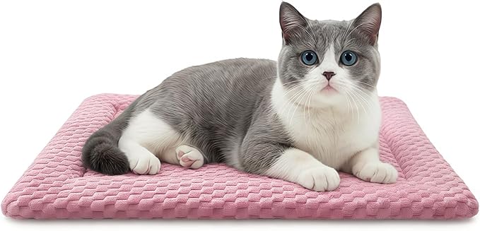 Dog Bed Mat, Dual-Sided Dog Crate Bed Mat - Ultra Soft & Machine Washable Kennel Pad for Cats and Extra Small Dogs, All-Season Comfort Pet Bed for Crates, Travel, and Home, Pink, 18 x 14 Inch