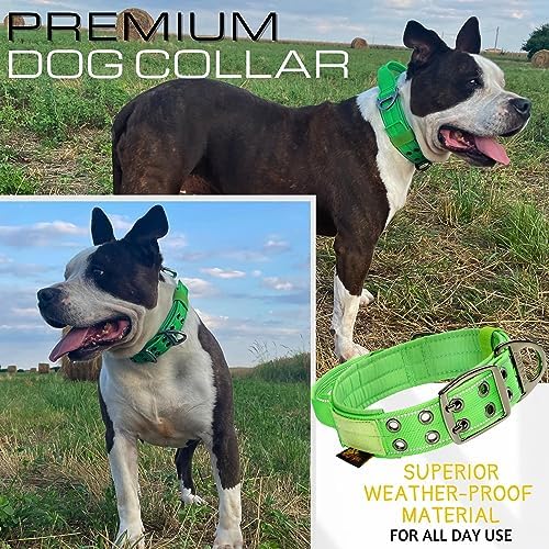 ADITYNA Heavy Duty Dog Collar for Large Dogs with Traffic Handle