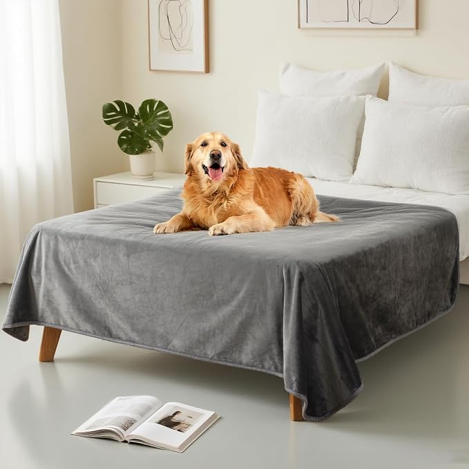Waterproof Blanket for Couch Sofa Bed | Reversible Soft Flannel Throw Blanket for Medium Large Dogs Pet Leakproof, Protector for Crate, Travel, 50"x60", Dark Grey