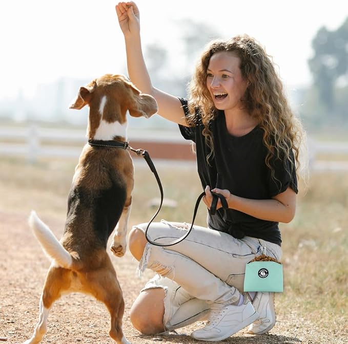 Dog Treat Pouch Magnetic Closure Small Dog Training Treat Pouch Pocket Sized Small Dog Treat Pouch with Clip (mint green)