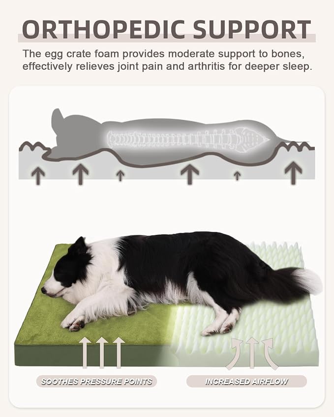 KSIIA Orthopedic Dog Bed for Large Dogs with Waterproof Lining, Green,41x27 | Deluxe Soft Plush Dog Crate Bed, Washable Pet Mat with Removable Cover & Egg Crate Foam for Large Dogs Sleeping & Relaxing