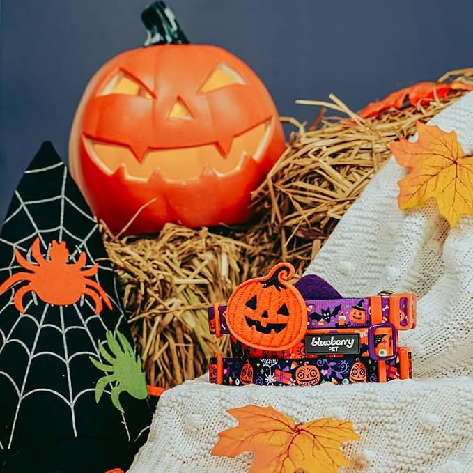 Blueberry Pet Halloween Darkness Deserted Castle Designer Adjustable Dog Collar with Decoration, Small, Neck 12"-16"