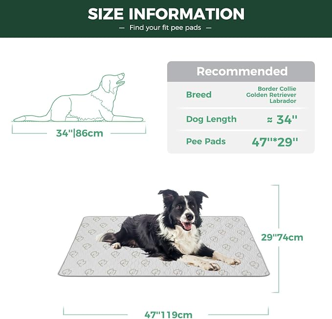 FXW Washable Pee Pads for Dogs, Super Absorbent, 29" x 47", 2 Packs | Machine washable, Non-slip backing