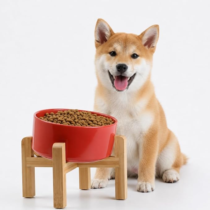 Petygooing Elevated/Raised 15°Slanted Ceramic Dog Bowl for Small and Medium Breeds, Tilted Anti Slip Pet Feeding Bowl,Food Water Dish with Stand for Cats and Dogs (28 OZ/3.6 Cups) Rust Red