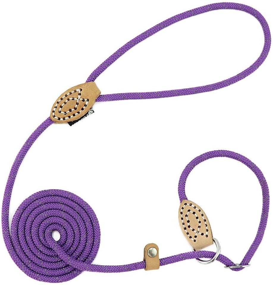 Puppy Pet Cat Dog Leash Collar Basic Accessories Reflective Retractable Dog Rope Pet Traction Belt 5FT(Medium 0.39IN, 24-66LB, Purple)