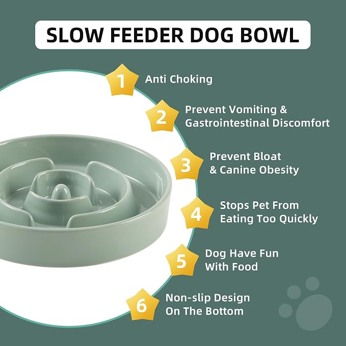 Havniva Ceramic Slow Feeder Dog Bowls, 3.2 Cups Dog Bowl Slow Feeding for Medium and Large Breed, 9.5inch Puzzle Dog Food Bowl Slow Feeder Non-Slip Anti-Gulping and Anti-Choking Reduces Bloating