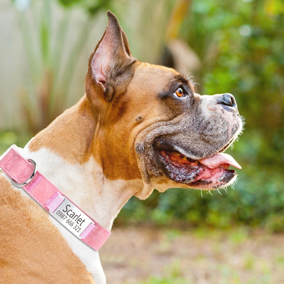 Custom Dog Collar with Engraved Metal Nameplates