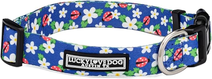 Lucky Love Dog - Adjustable Dog Collar with Easy Click Buckle for Large Ones, Durable, & Comfortable for Male & Female Dogs, Pet Collar for Puppies & Adult Dogs - Lilian, Large