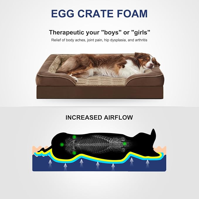 FURTIME Orthopedic Extra Large Dog Bed, Waterproof Dog Beds, 48x35x6.5 Supportive Foam Pet Couch Bed with Removable Washable Cover and Nonskid Bottom