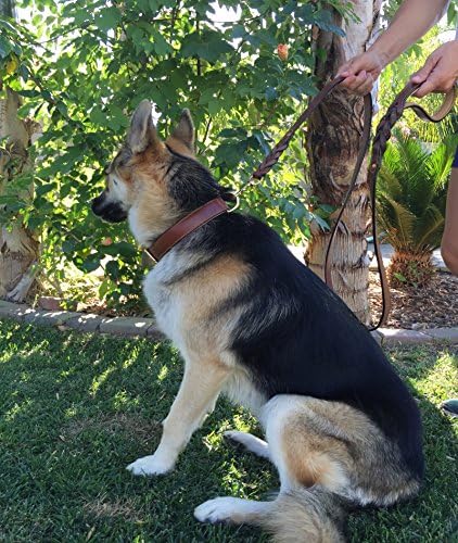 Leather Braided Dog Leash, Brown 6ft x 3/4 Inch, Naturally Tanned 6 Foot Full Grain Leather Lead